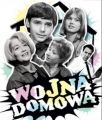 Wojna domowa, 