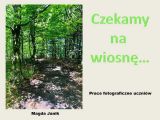 Wiosna, 