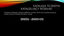 Stypendysta Mazowieckiego programu stypendialnego dla uczniów szczególnie uzdolnionych, 