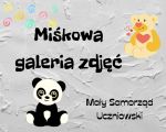 Miśkowa galeria zdjęć, 