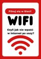 Bezpieczny Internet, 