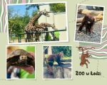 Wycieczka do ZOO w Łodzi klasy 2b i 2d, 